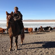 Was haben rappende Pferde im Rückspiegel mit der Mongolei zu tun? (Ich verrat´s dir … du weißt schon wo)
