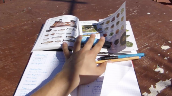Sprachen lernen - Vokabeln lernen - Englisch Spanisch Französisch Schule Hausaufgaben Sprachkurs Sprachschule - Videokurs von Dr Martin Krengel - Modul 4