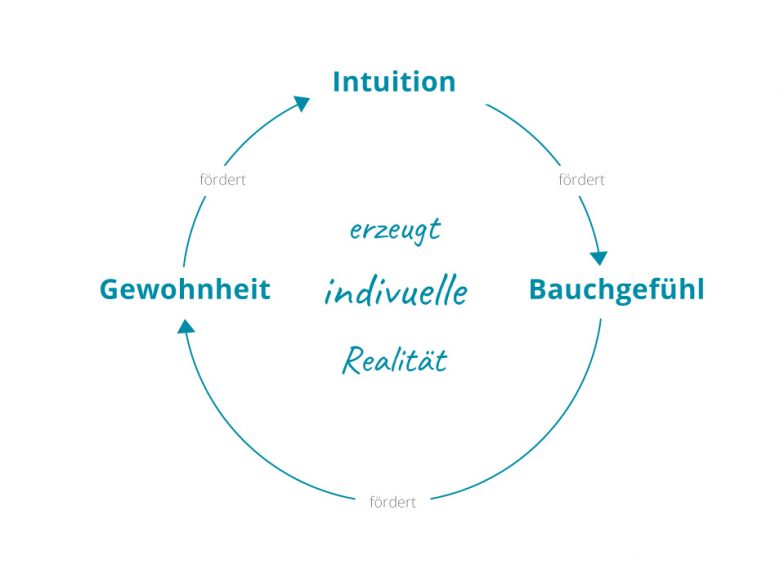 Intuition Bauchgefuehl Gewohnheit studienstrategie-de