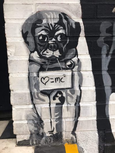 albert einstein zitate, hund graffiti auf wand