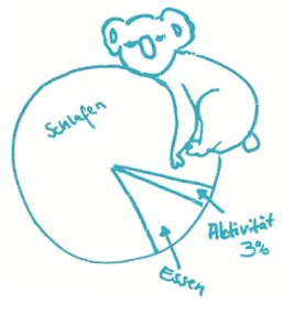 Besser schlafen - schnell einschlafen und lange durchschlafen - Tipps fuer besseren Schlaf von Dr Martin Krengel