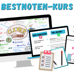Lernseminar Lernkurs Online Lerntraining fuer Studierende Schueler Pruefungen Fernstudium